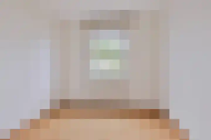De Kwikstaart 24 Budel thumbnail 20
