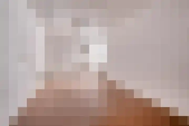 De Kwikstaart 24 Budel thumbnail 22