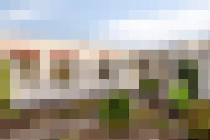 De Kwikstaart 24 Budel thumbnail 23