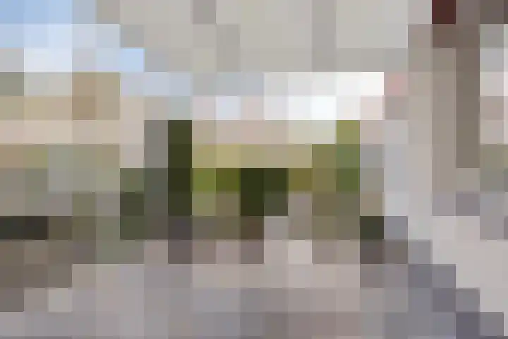 De Kwikstaart 24 Budel thumbnail 24