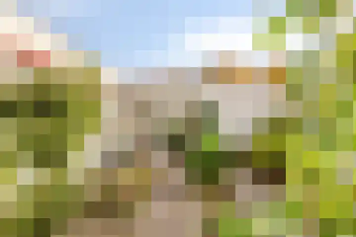 De Kwikstaart 24 Budel thumbnail 25