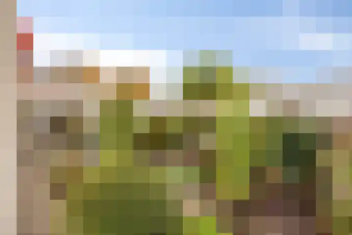 De Kwikstaart 24 Budel thumbnail 26