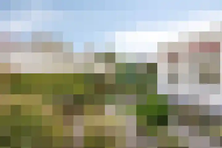 De Kwikstaart 24 Budel thumbnail 27