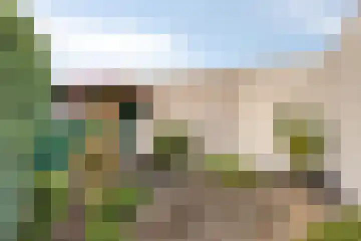 De Kwikstaart 24 Budel thumbnail 28