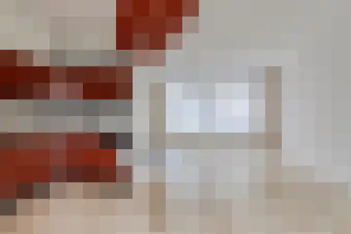 De Kwikstaart 24 Budel thumbnail 5