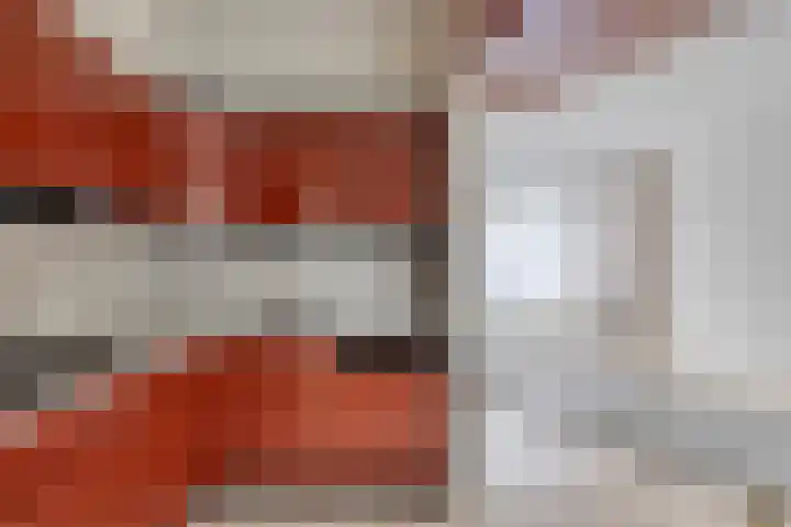 De Kwikstaart 24 Budel thumbnail 7