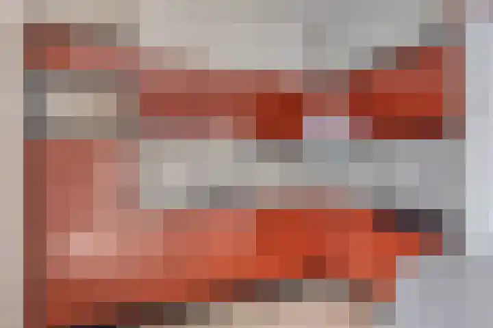 De Kwikstaart 24 Budel thumbnail 8