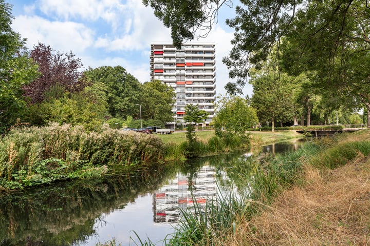 de la Reijstraat 520 in Ridderkerk foto