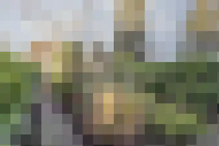 De la Reystraat 154 Ermelo thumbnail 32