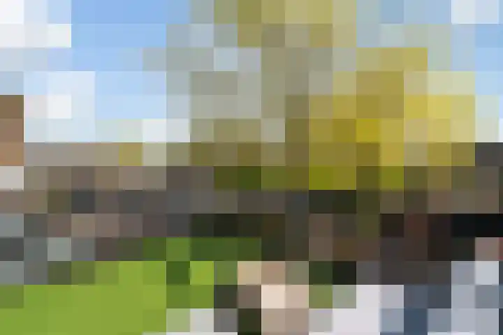 De la Reystraat 84 Ermelo thumbnail 25