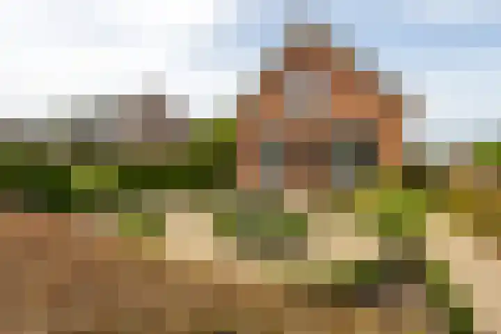De Laak 35 Lexmond thumbnail 39