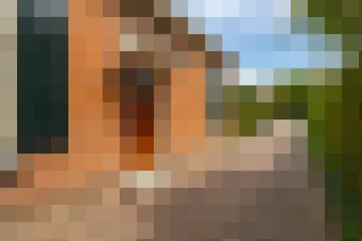 De Laak 35 Lexmond thumbnail 5
