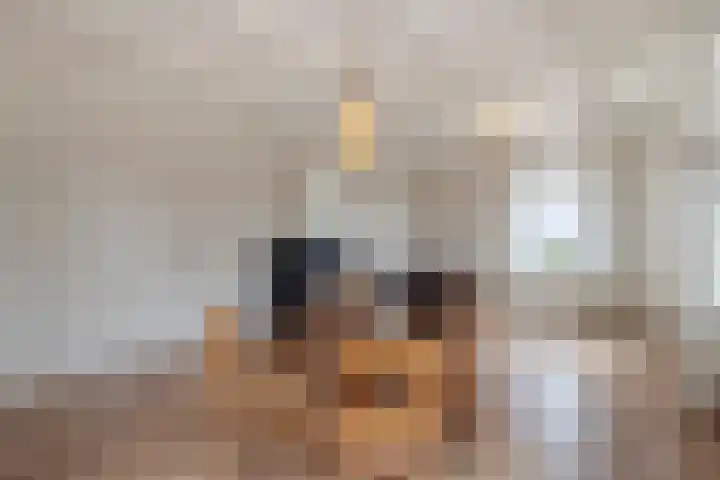De Laak 35 Lexmond thumbnail 9