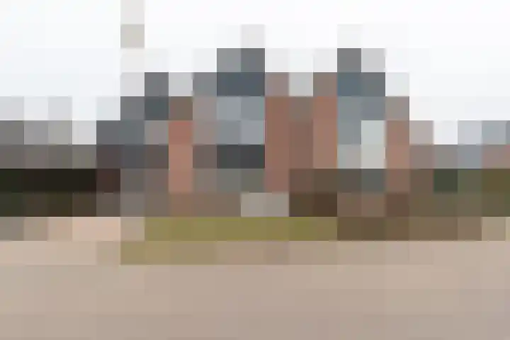 De Laak 5 Pesse foto 2