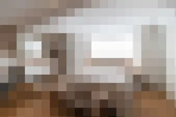 De Laak 5 Pesse thumbnail 20