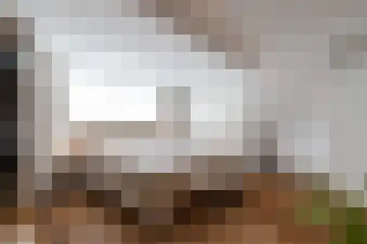 De Laak 5 Pesse thumbnail 22