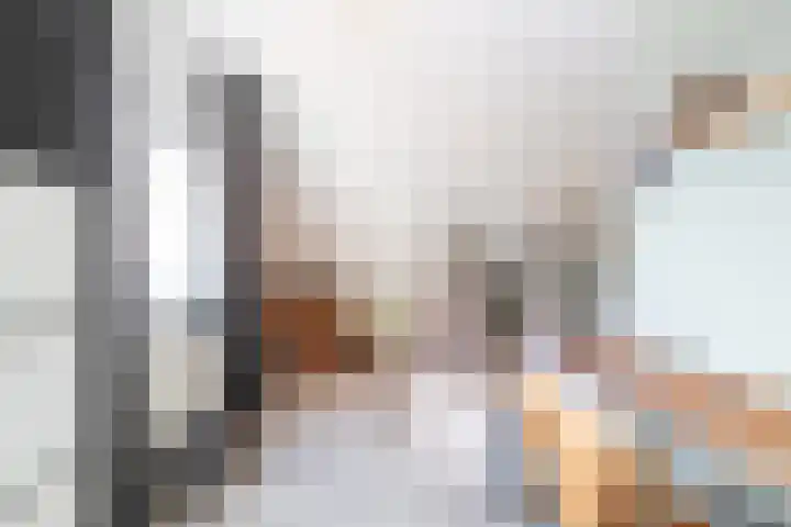 De Laak 5 Pesse thumbnail 25