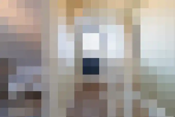 De Laak 5 Pesse thumbnail 28