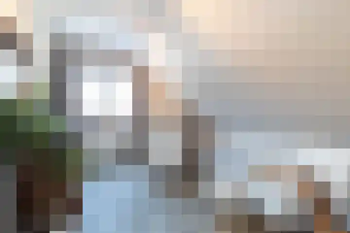 De Laak 5 Pesse thumbnail 29