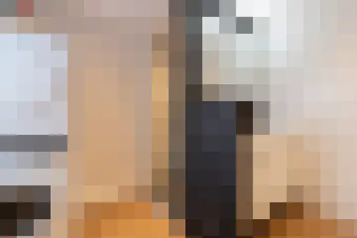 De Laak 5 Pesse thumbnail 31