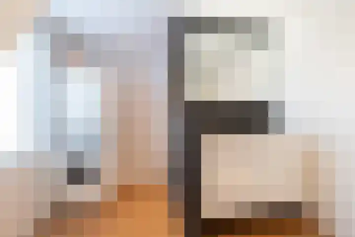 De Laak 5 Pesse thumbnail 32