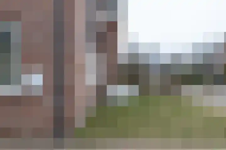 De Laak 5 Pesse thumbnail 4