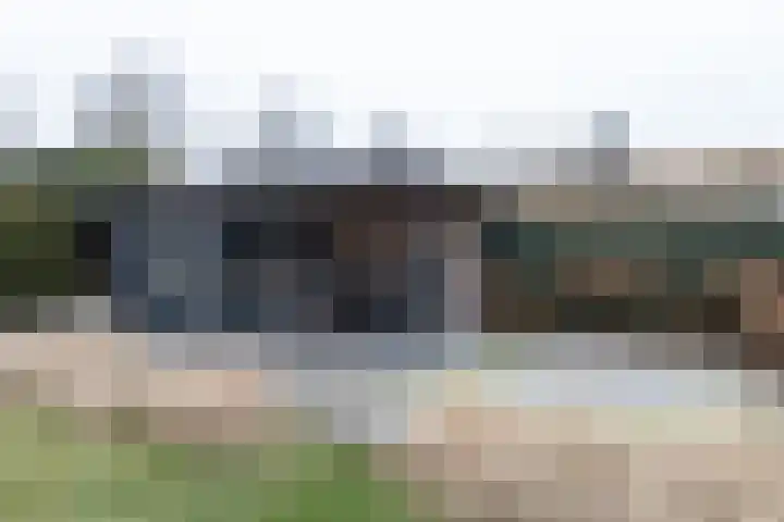 De Laak 5 Pesse thumbnail 40