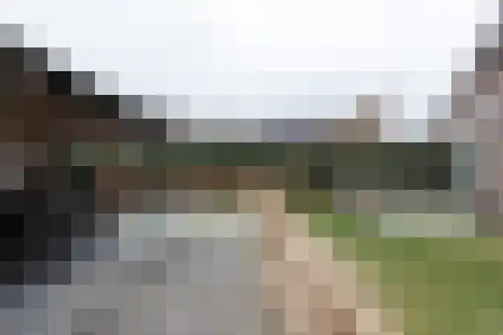 De Laak 5 Pesse thumbnail 41