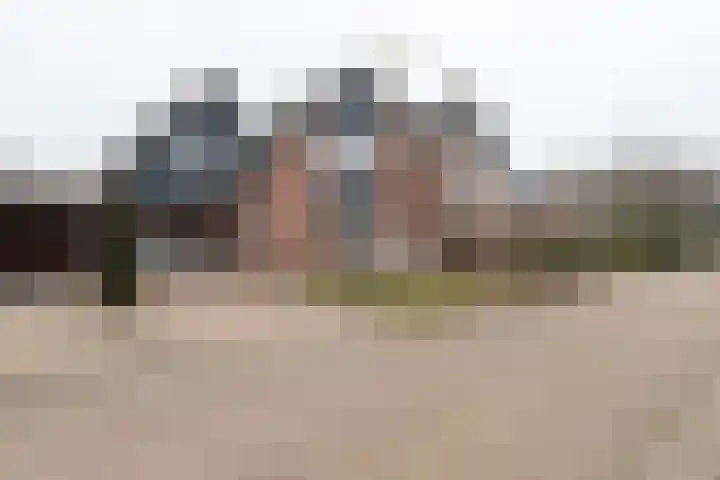 De Laak 5 Pesse thumbnail 43