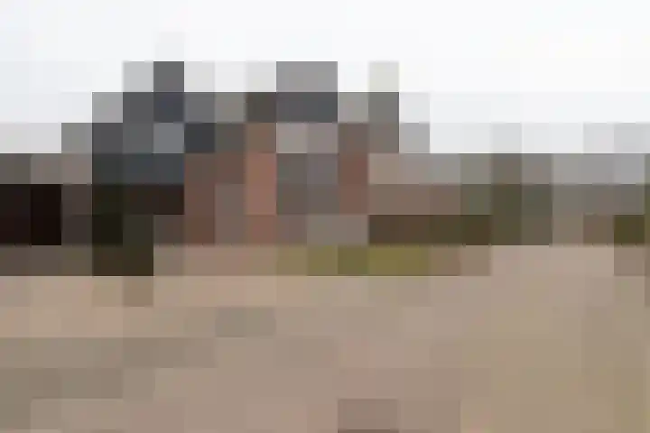 De Laak 5 Pesse thumbnail 44