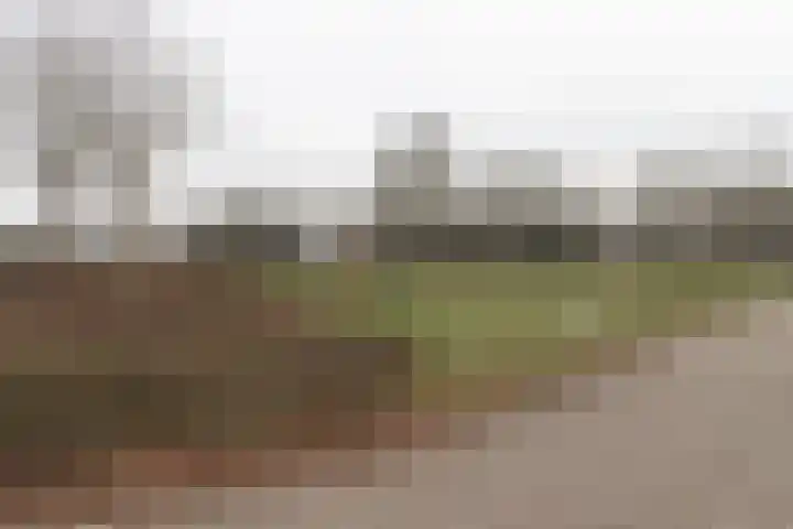 De Laak 5 Pesse thumbnail 47