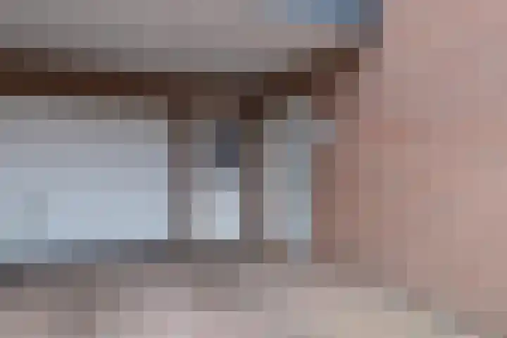 De Laak 5 Pesse thumbnail 5