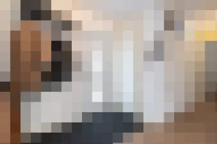De Laak 5 Pesse thumbnail 6