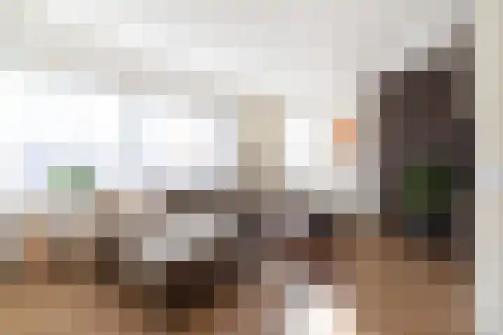 De Laak 5 Pesse thumbnail 8