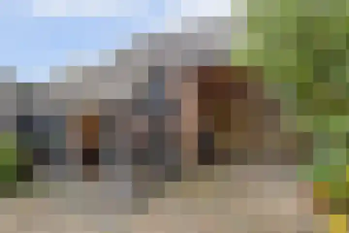 De Laars 1 Enkhuizen thumbnail 22