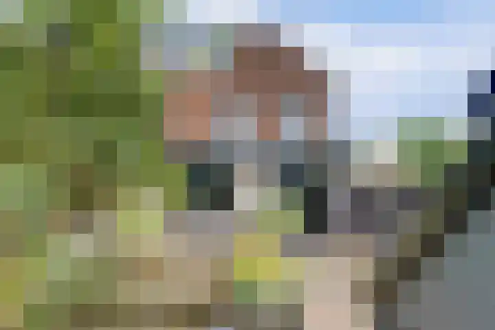 De Laars 1 Enkhuizen thumbnail 23