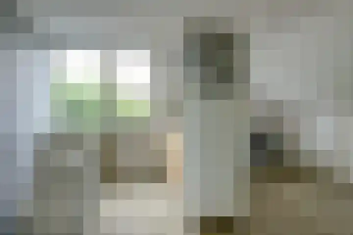 De Laars 1 Enkhuizen thumbnail 37
