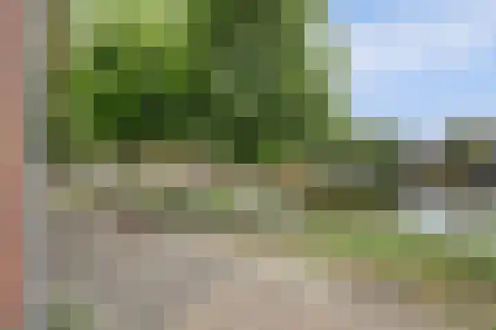 De Laars 1 Enkhuizen thumbnail 43