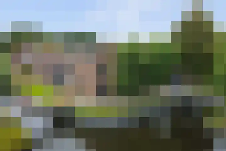 De Laars 1 Enkhuizen thumbnail 44