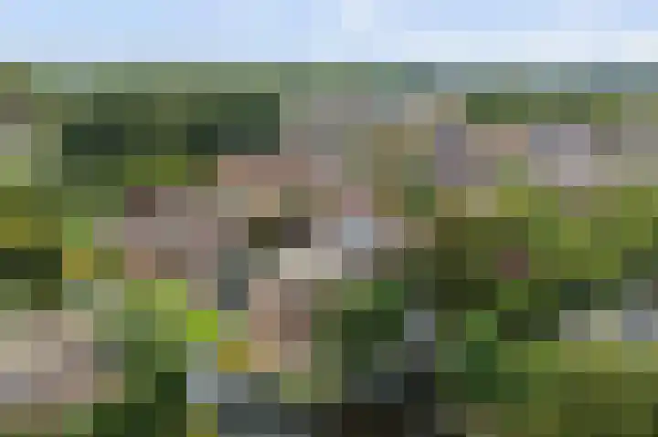 De Laars 1 Enkhuizen thumbnail 45