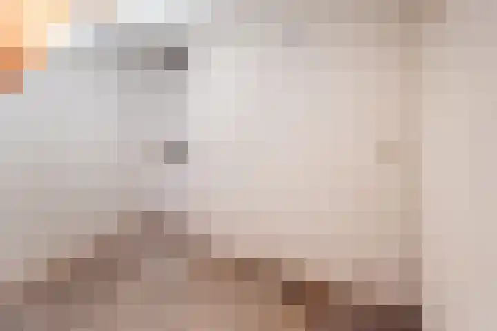 De Laegte 27 Terborg thumbnail 29