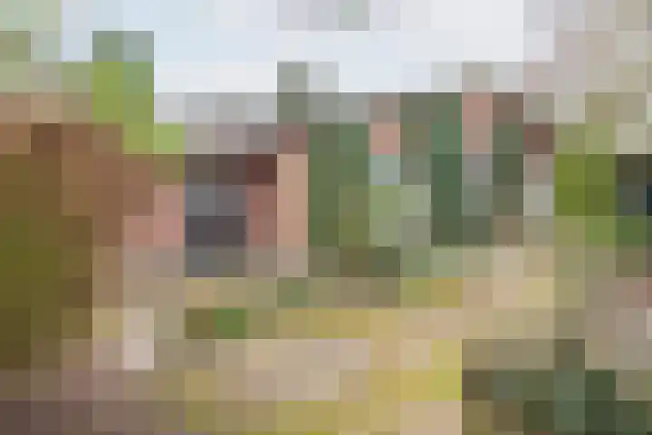 De Laegte 27 Terborg thumbnail 30
