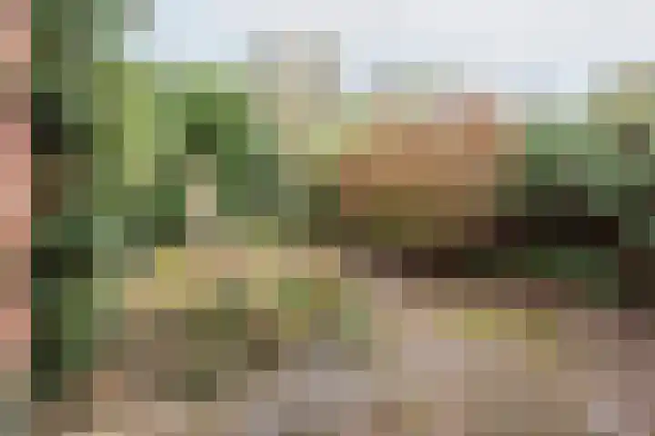 De Laegte 27 Terborg thumbnail 32