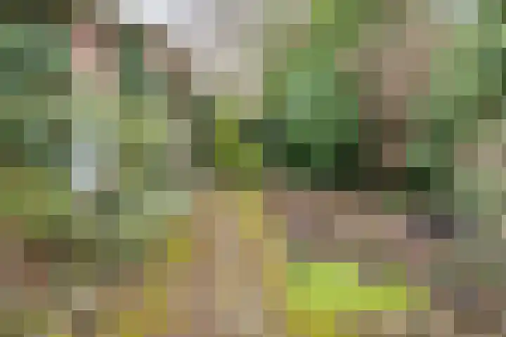 De Laegte 27 Terborg thumbnail 33