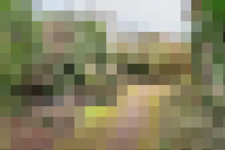 De Laegte 27 Terborg thumbnail 34
