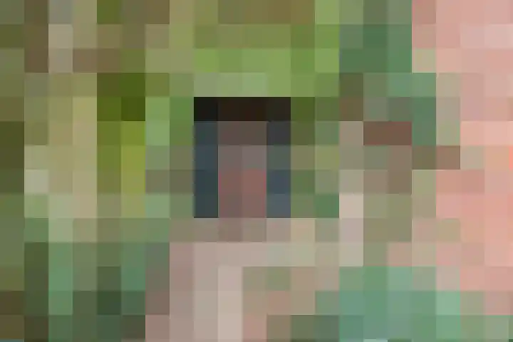 De Laegte 27 Terborg thumbnail 35