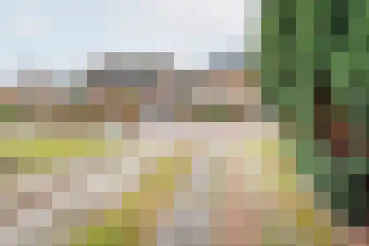 De Laegte 27 Terborg thumbnail 38