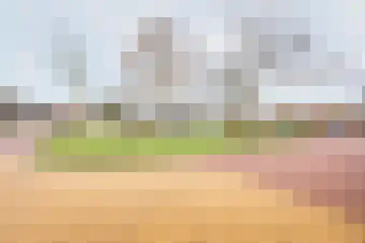 De Laegte 27 Terborg thumbnail 39