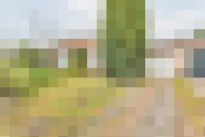 De Laegte 27 Terborg thumbnail 4