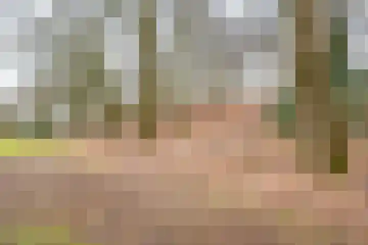 De Laegte 27 Terborg thumbnail 40
